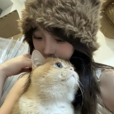 第一茧海报