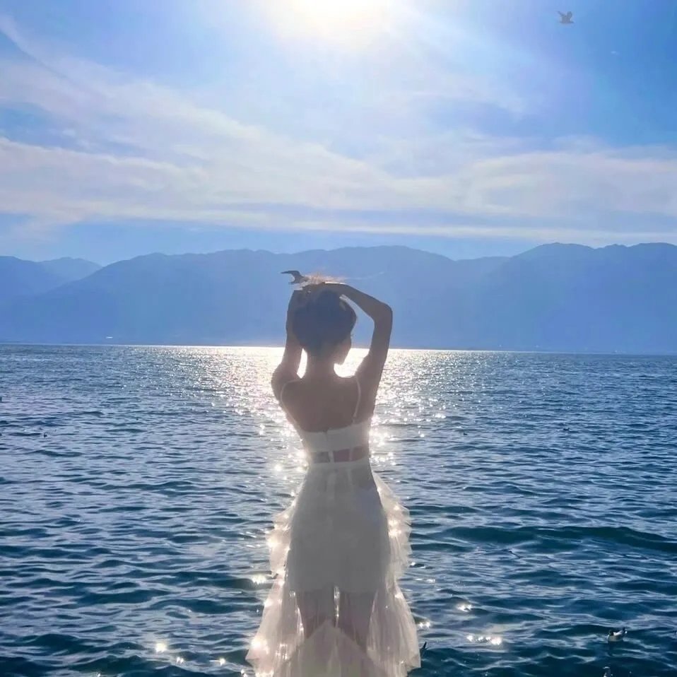 锦帐春海报